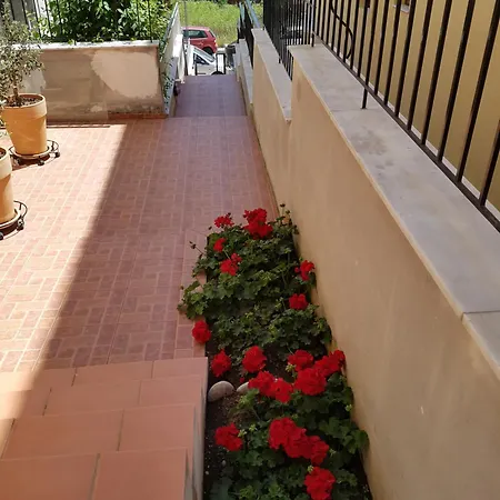 Toula's Apartment